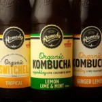A glass of kombucha with a SCOBY and tea leaves, exploring what science actually says about kombucha benefits for gut health.