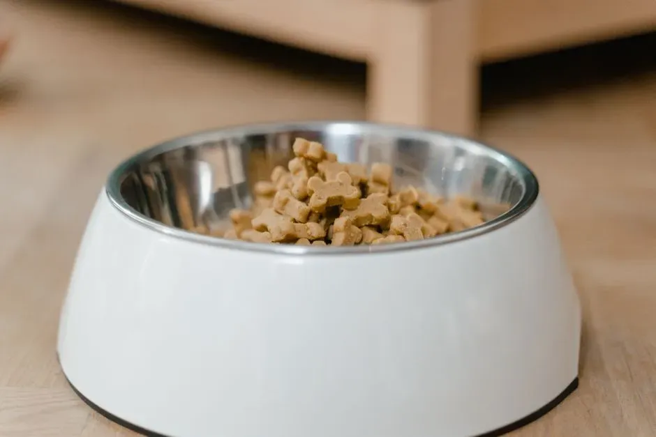 A happy dog beside a bowl of food and a probiotic supplement, representing the question: does your dog really need dog probiotics for gut health support?