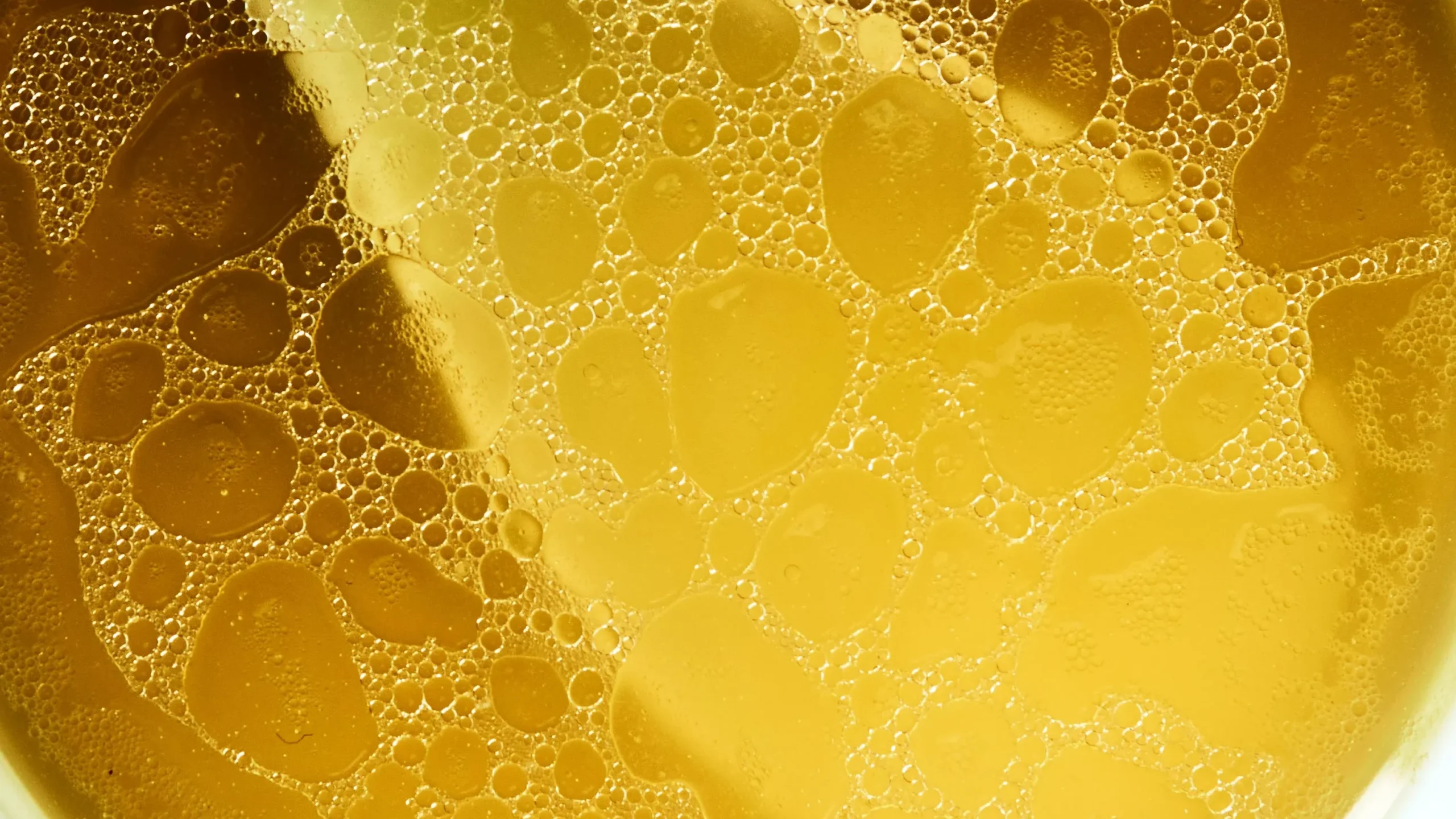 Grouping of L-glutamine, collagen peptides, zinc carnosine, and slippery elm capsules, the gut-healing compounds in the best gut health supplements.