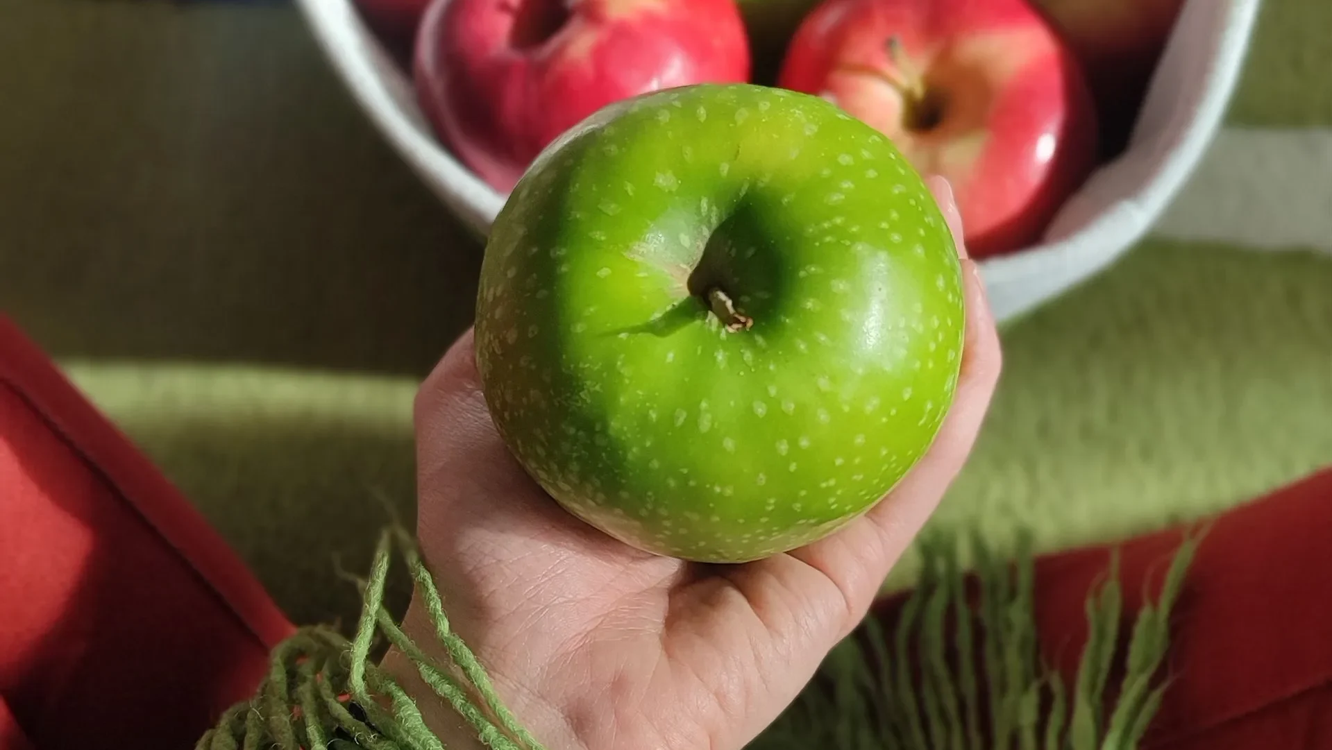 Illustration of beneficial gut bacteria flourishing alongside apple slices, showing how stewed apples for gut health feed microbes like Faecalibacterium prausnitzii.
