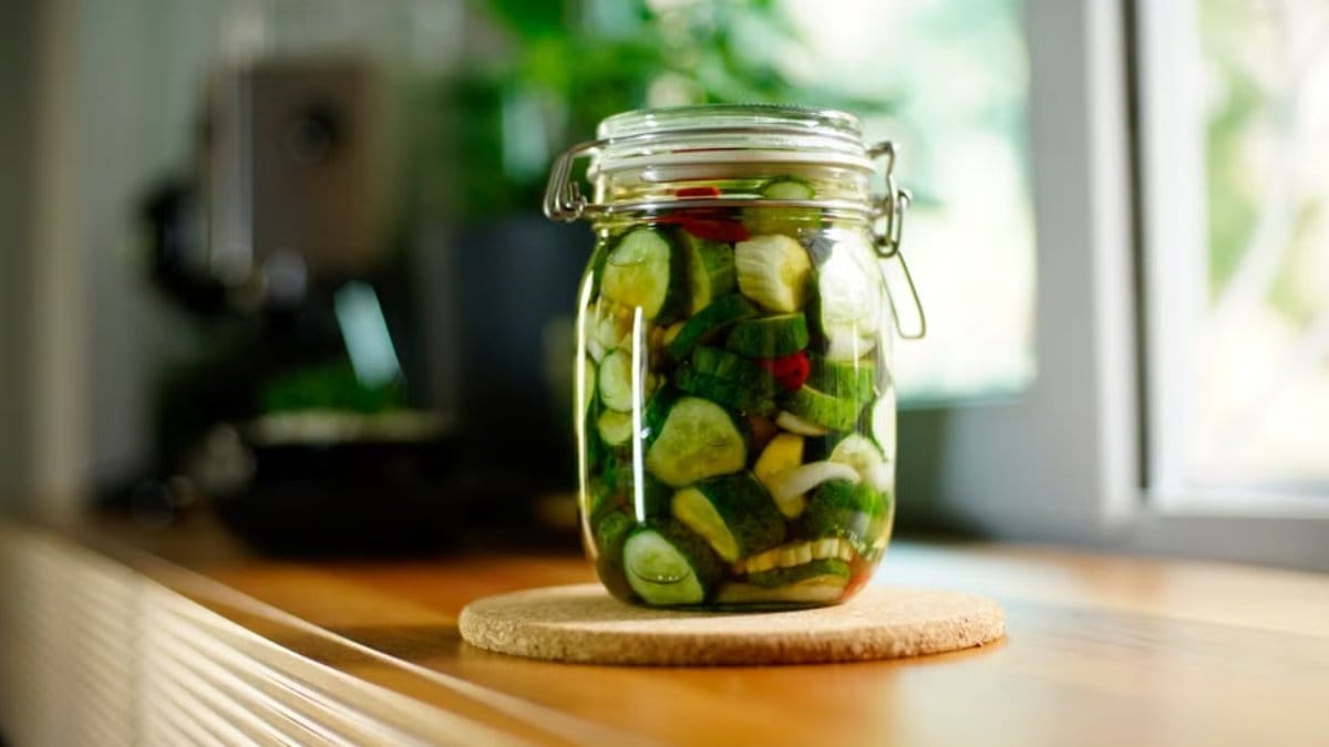 What makes fermented foods 