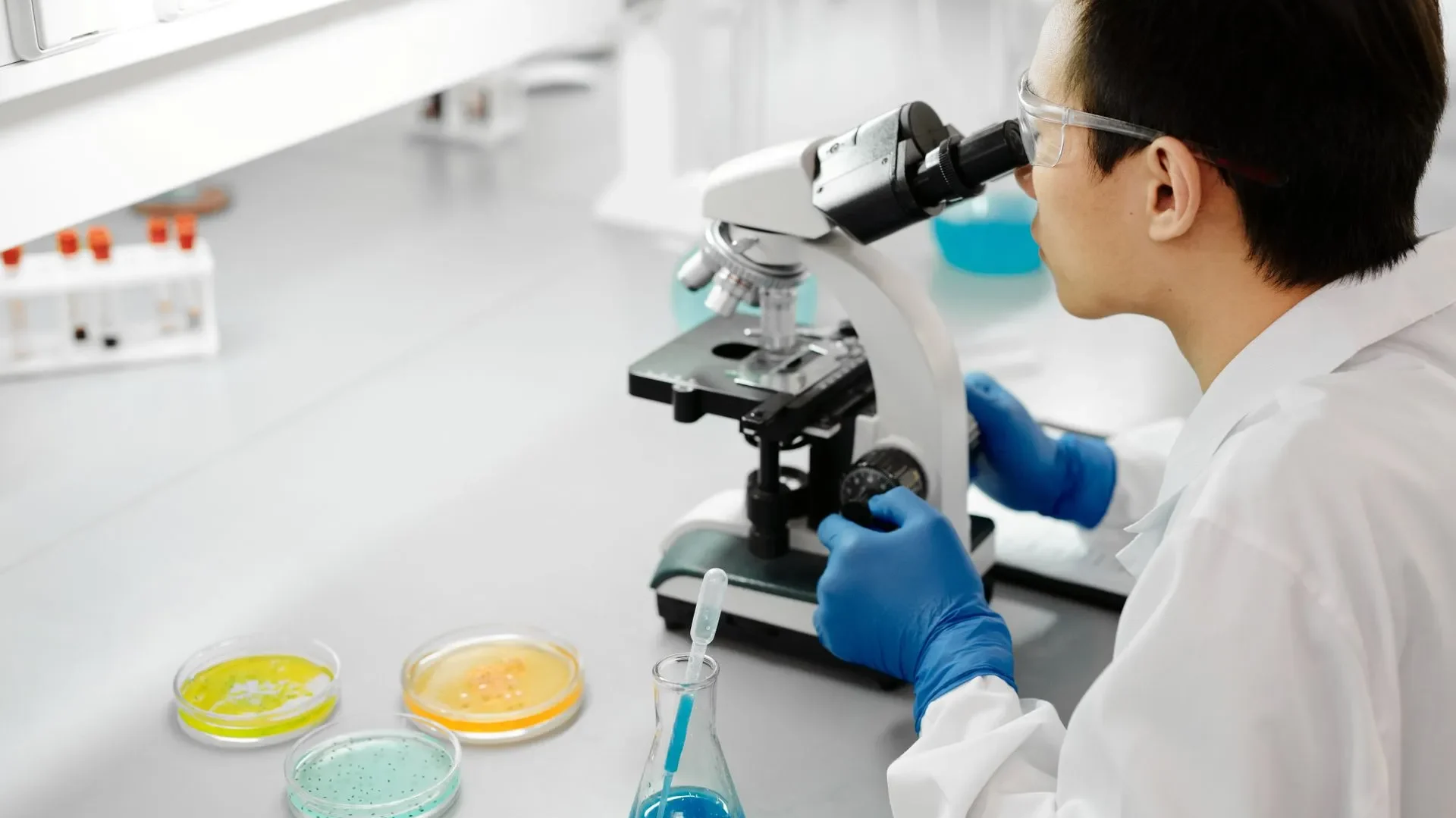 Microscopic view of beneficial bacteria like Lactobacillus and Bifidobacterium, representing the science behind dog probiotics and their benefits for canine gut health.