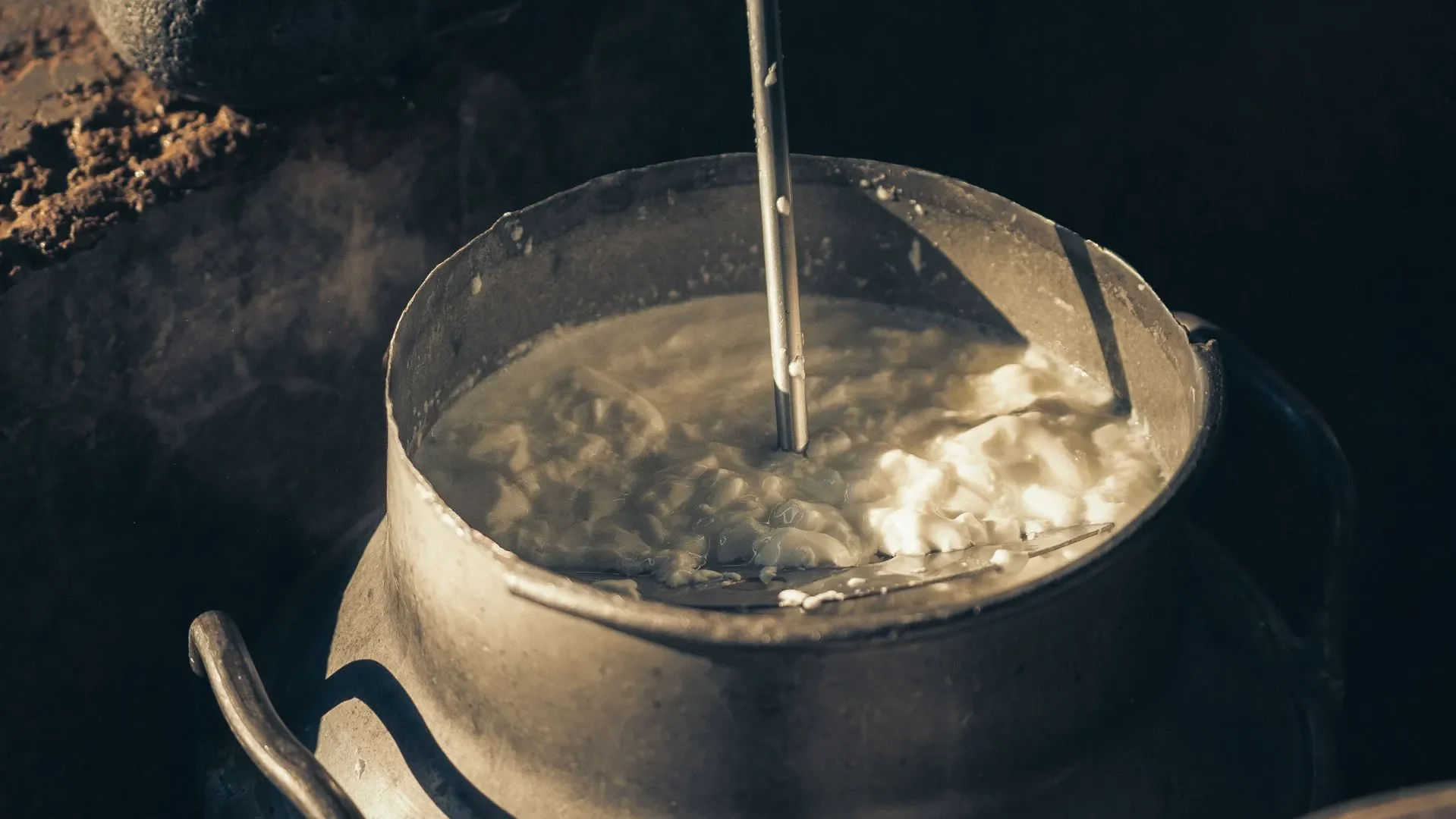 Close-up of creamy yogurt with a spoon, with a microscope view of live bacterial cultures, explaining what makes yogurt benefits for gut health so powerful.